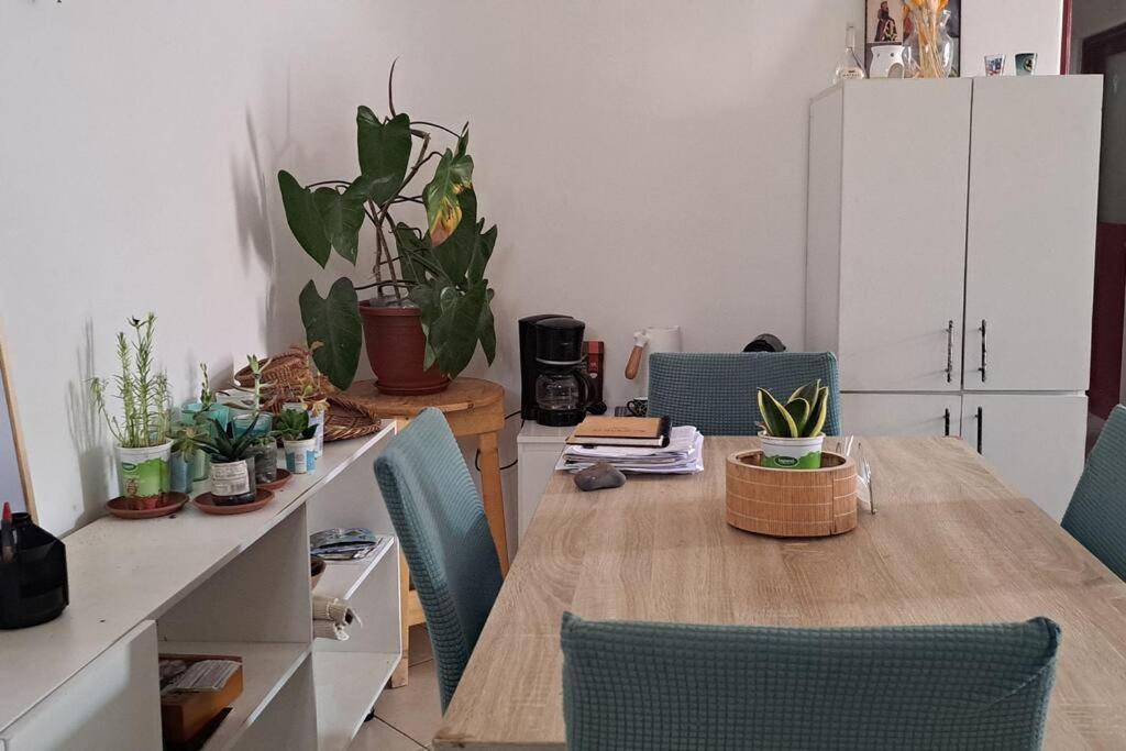 Mendes Family Homestay - B&B In The Heart Of Praia Extérieur photo