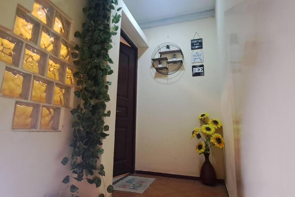 Mendes Family Homestay - B&B In The Heart Of Praia Extérieur photo